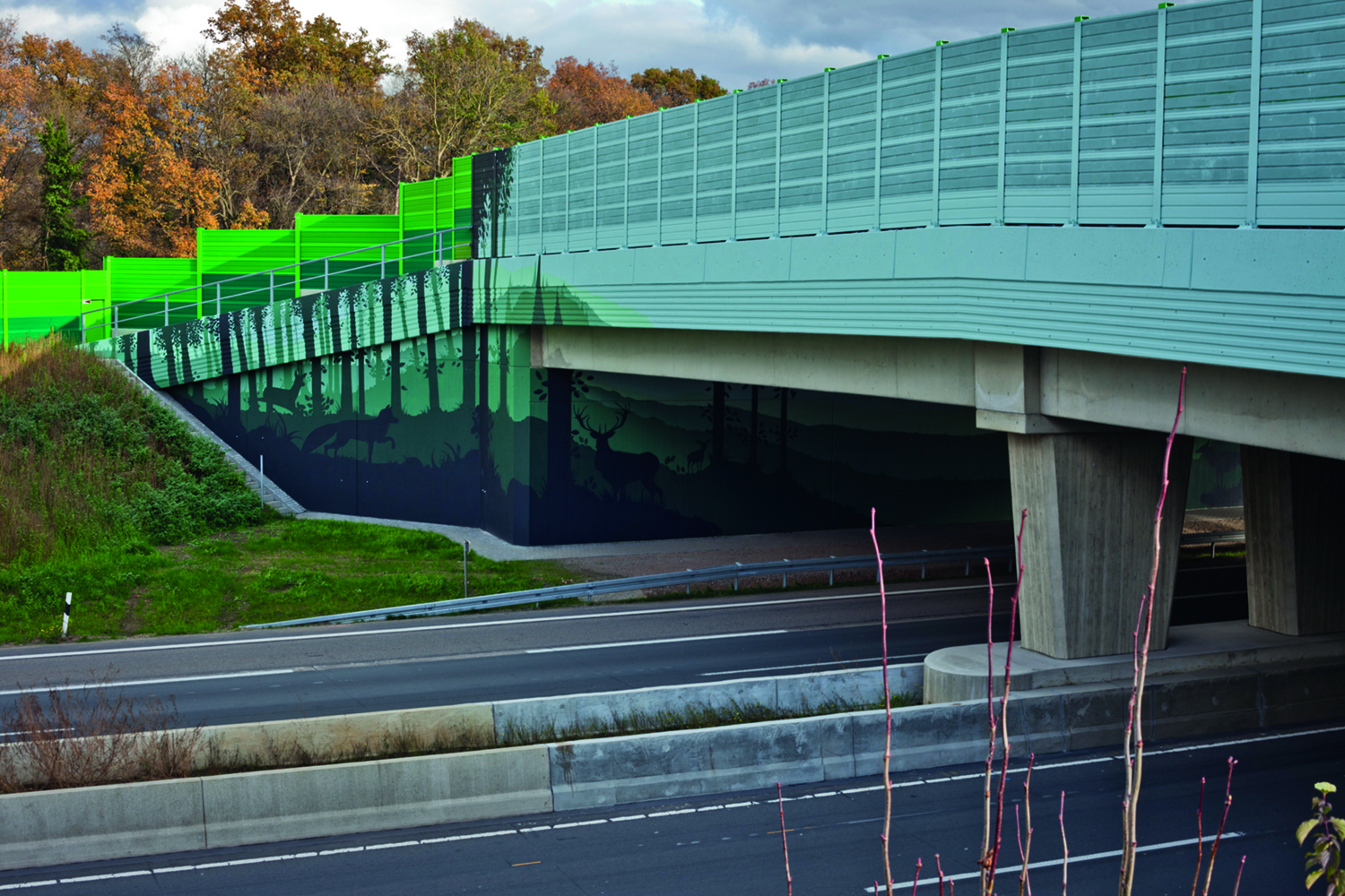 graffiti mürakaitseseintel